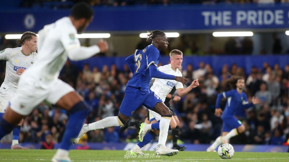 解雇经纪人 解雇经纪人