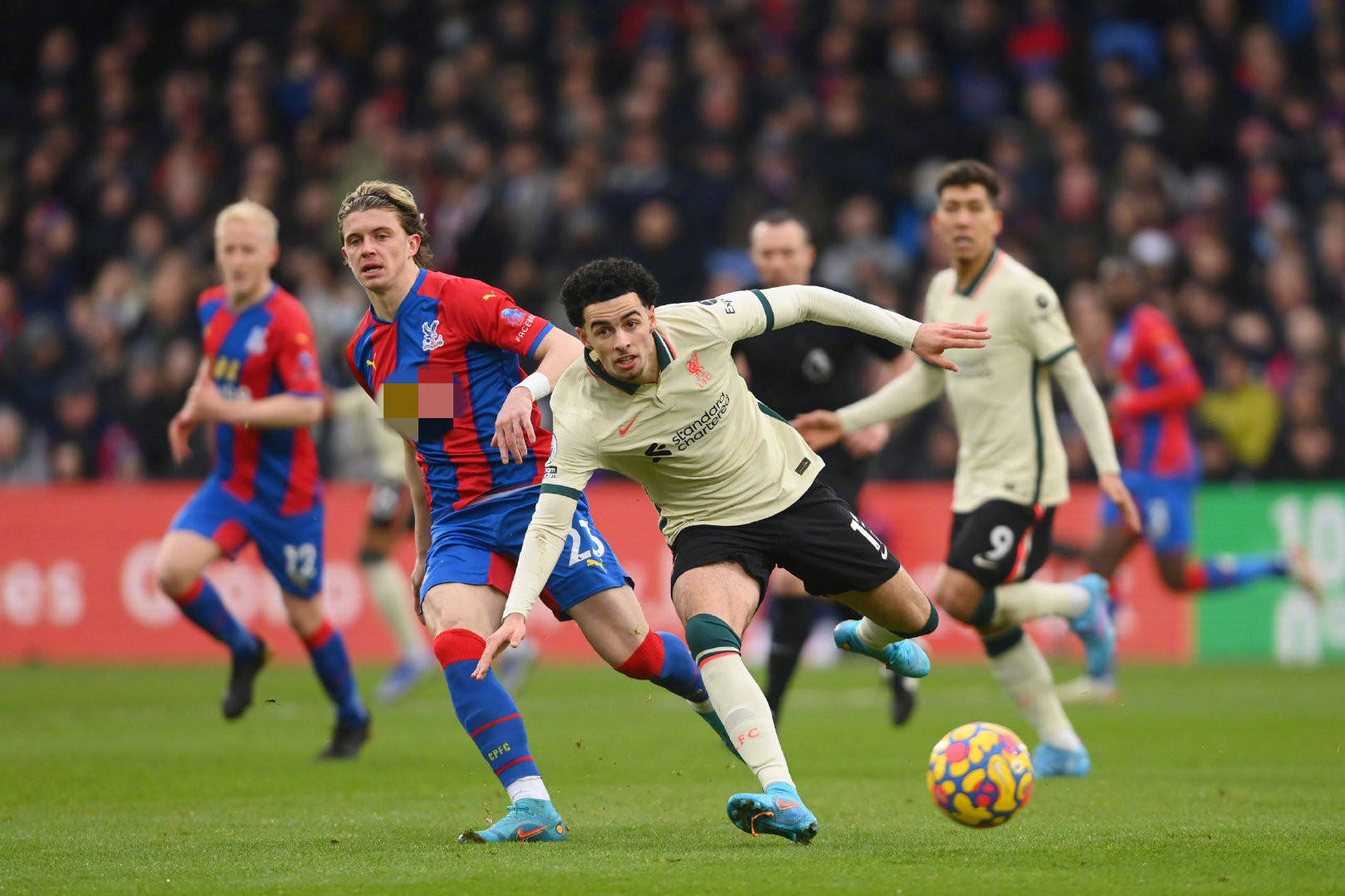 功案例表明 功案例表明